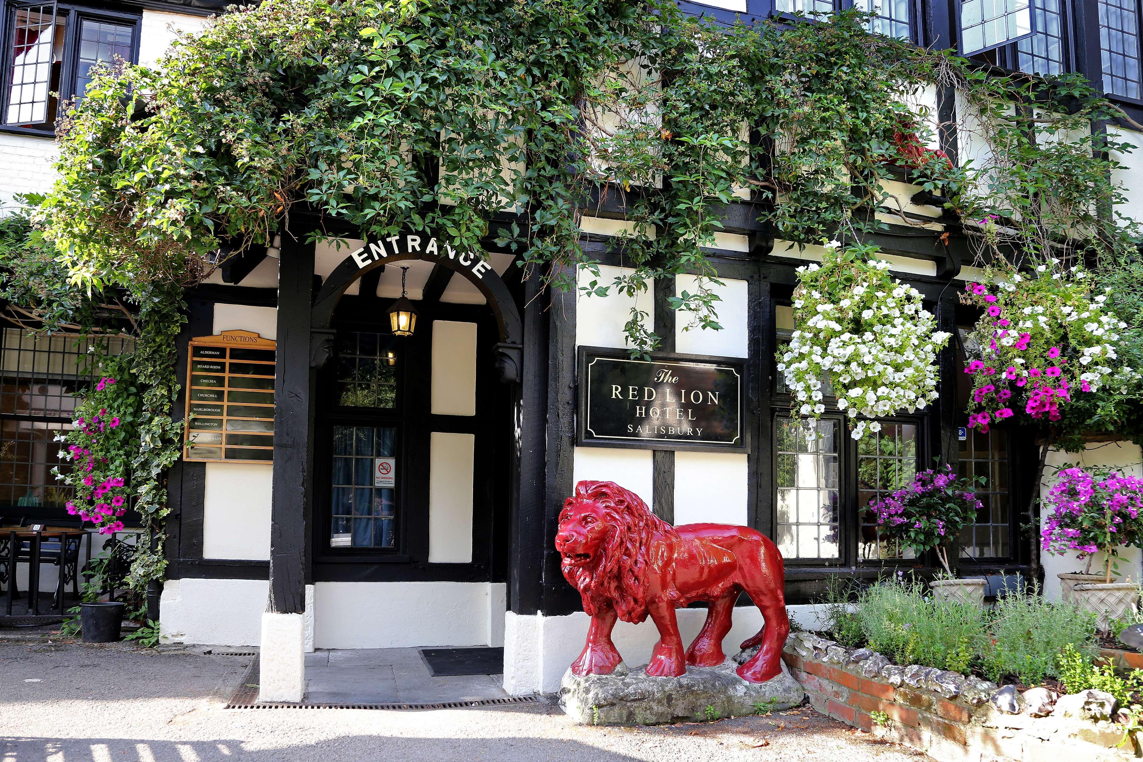 Western Red Lion